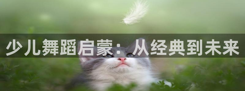 fh至尊是凤凰平台么