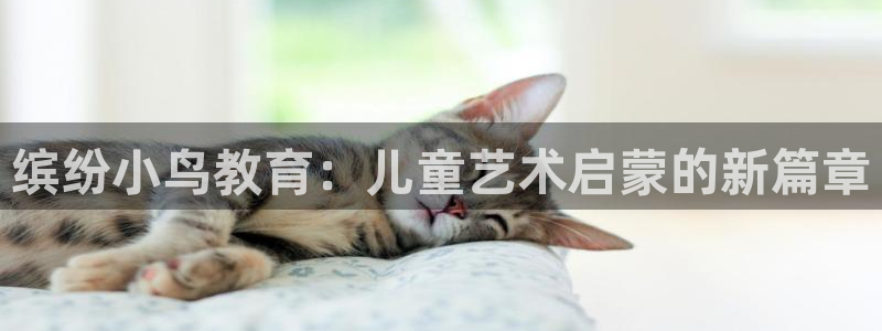 fh至尊为什么不更新了