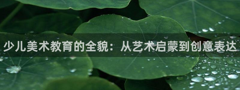 FH至尊官方入口
