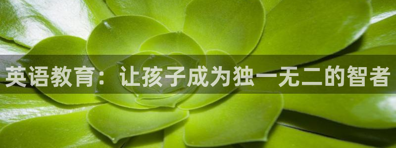 fh至尊提现不了