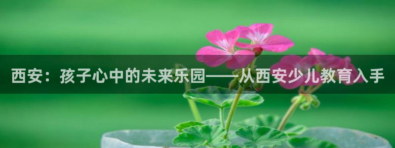 FH至尊登录不了