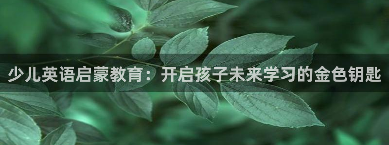 fh凤凰至尊平台