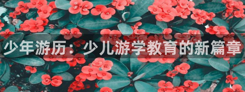 fh至尊闪退