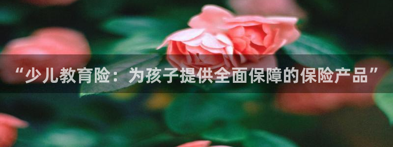 FH至尊平台怎么样
