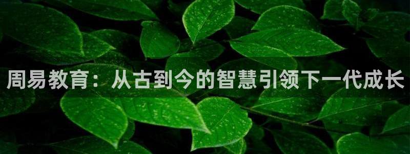 fh至尊平台黑钱