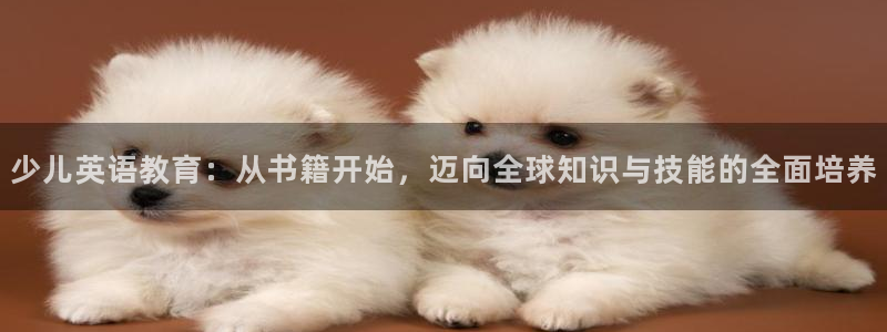 fh至尊平台正常登录