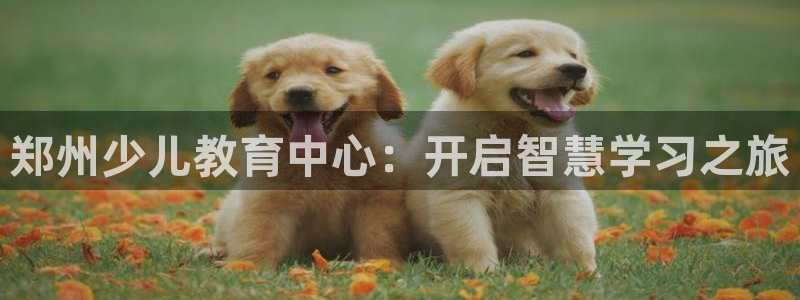 fh至尊怎么注册