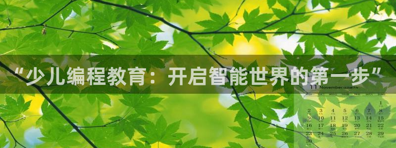 fh至尊20