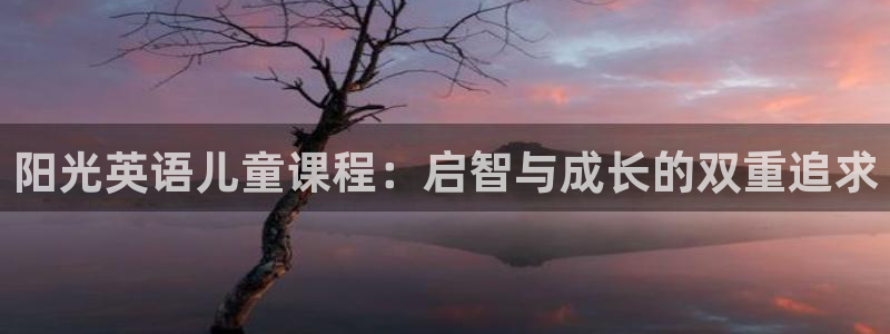 fh至尊平台多少年了