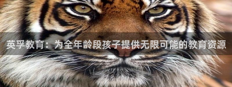 fh至尊安全吗