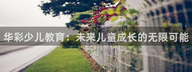 fh至尊提现不了