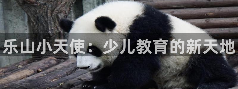 FH-FH至尊版的功能
