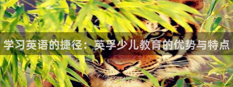 fh至尊平台冻结