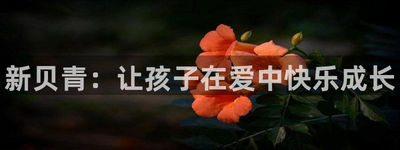 fh至尊双色球开奖结果