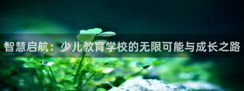 fh至尊平台怎么打不开了呢