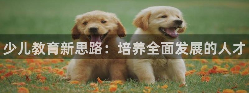 FH至尊app下载