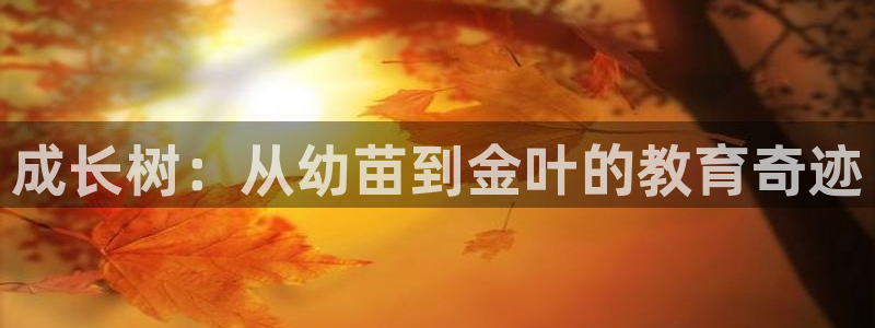 fh至尊凤凰