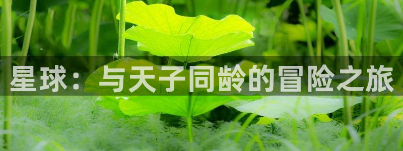fh至尊凤凰官方旗舰店