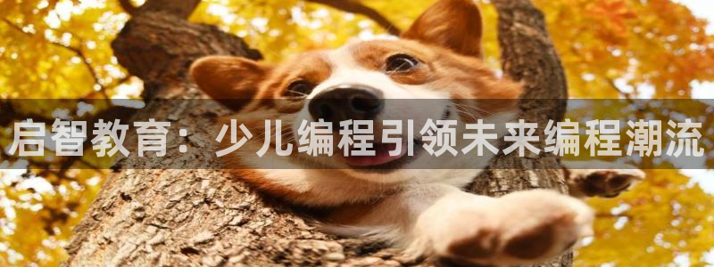 fh至尊怎么注册