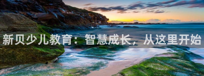 fh至尊安全吗
