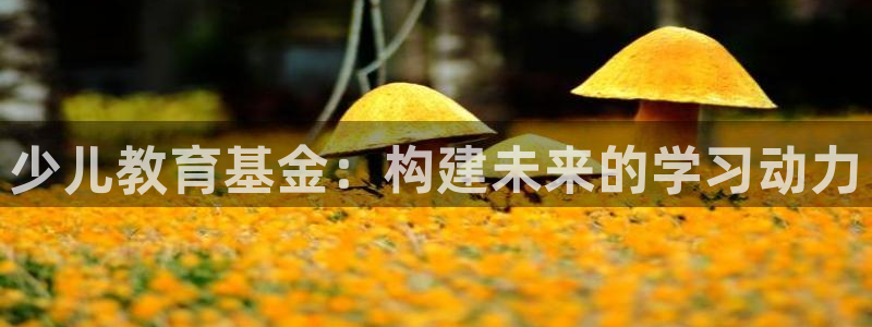 fh至尊怎么没有了