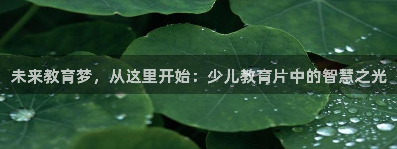 fh至尊凤凰