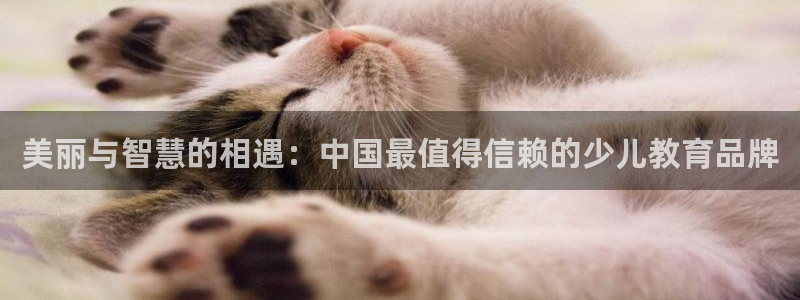 fh至尊官方旗舰店