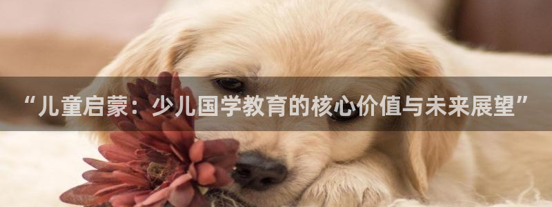 fh至尊是凤凰平台吗