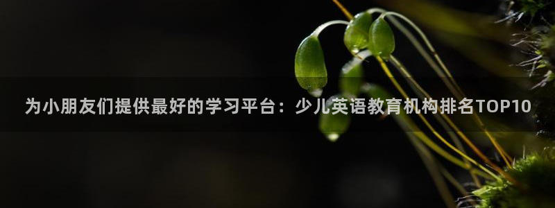 FH至尊apk
