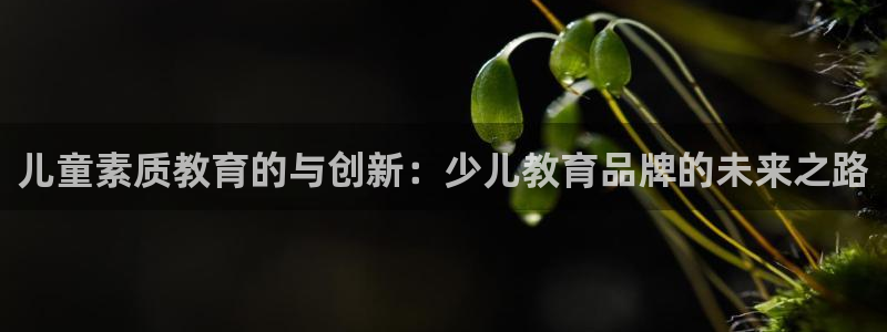FH至尊公安