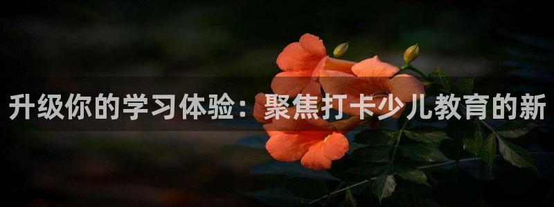 fh至尊平台安全密码忘记了