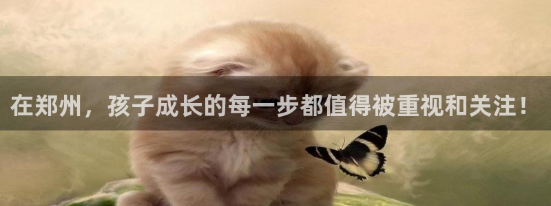至尊FH平台