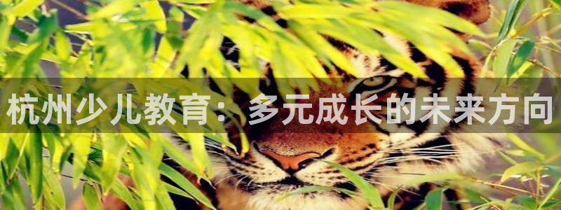凤凰娱乐FH至尊App