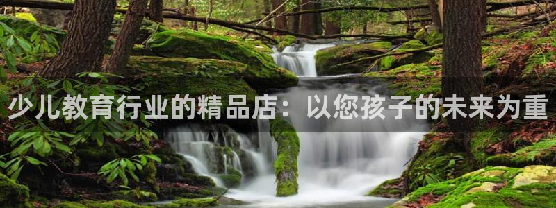 FH至尊登录不了