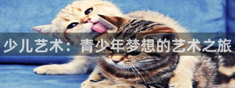 fh至尊凤凰消息的范本