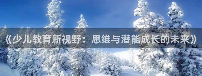 fh至尊安全吗