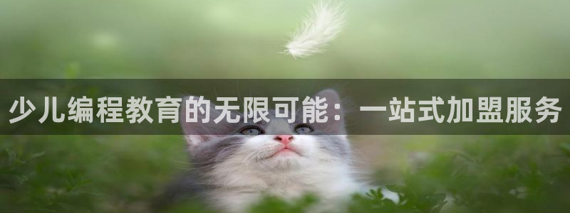 fh至尊手机端进不去