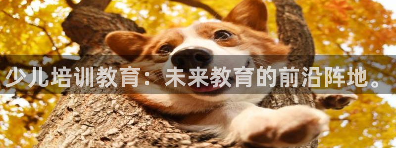 fh至尊app下载安装