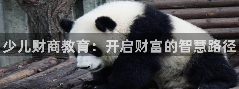 fh至尊平台正常登录