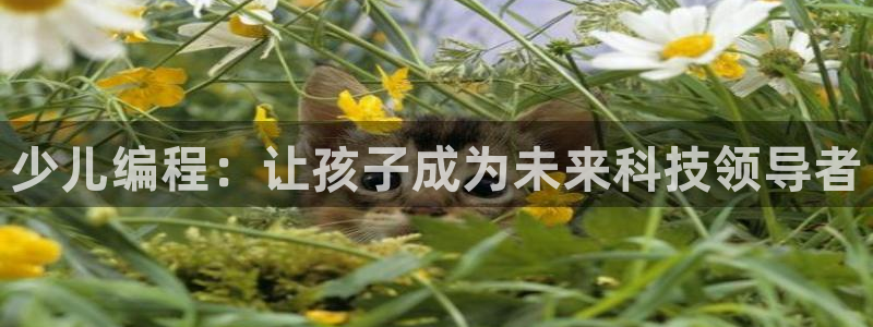 fh至尊为什么不更新了