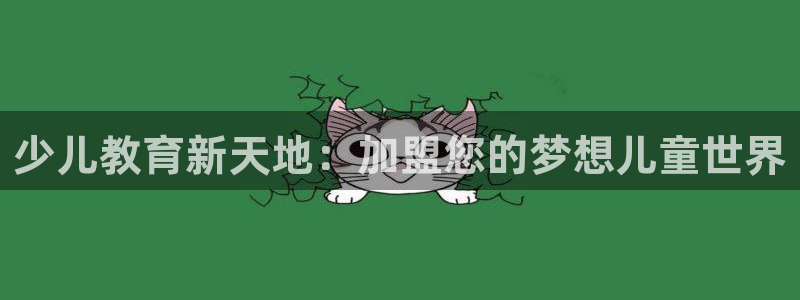 FH至尊是什么意思