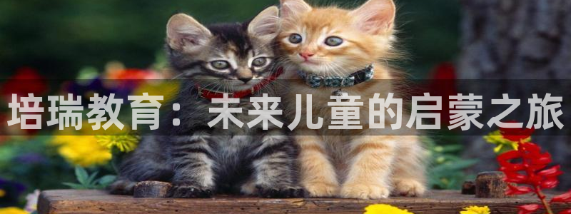 fh至尊品牌介绍