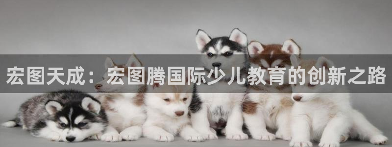 fh至尊是什么平台