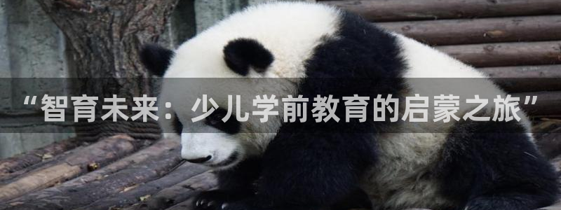 fh至尊手机端进不去