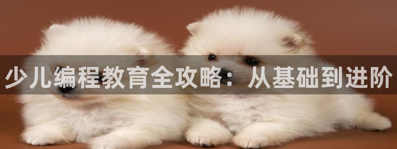 FH至尊登录官网