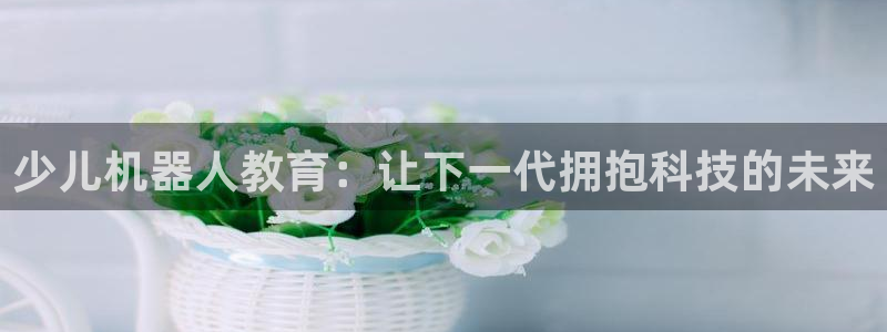 FH至尊属于哪里啊公司