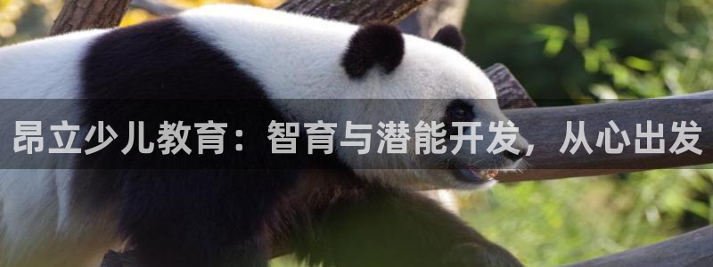 FH至尊平台注册