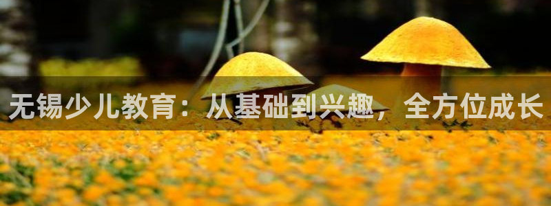 FH至尊不给提现