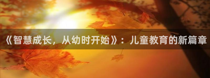 凤凰FH至尊