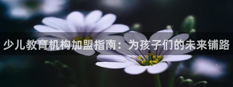 fh至尊品牌介绍